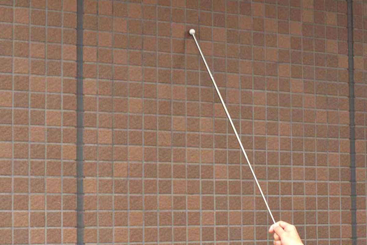 現地調査の実施